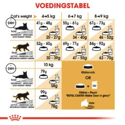 Royal Canin Maine Coon 4kg -ROYAL Voer Winkel 0374080cfca08fe20f539e96d88e2c71905e60c2a86c3e53d2e53651b190e5fc 1