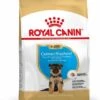 Royal Canin German Shepherd/Duitse Herder Puppy - Hondenvoer - 3kg -ROYAL Voer Winkel 17c54121c671f6cdfe28f38823b7d555834d2ee0902018a53cc90ac4abfd285e
