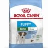 Royal Canin Mini Puppy - Hondenvoer - 2kg -ROYAL Voer Winkel 337386ac2ef91893aa95a28469815dcdcff96c08dc2a8abda12ab86c5bf94c1d