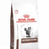 Royal Canin Gastro Intestinal - Kattenvoer - 4kg -ROYAL Voer Winkel 365029876cdd224fca70c3ff0a682af3345c9082b6b6e5aa5cab51d80a07e639