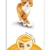 GimCat Multi-vitaminepasta 200gr -ROYAL Voer Winkel 4002064401881