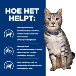 Hill's Prescription Diet C/d Multicare Stress + Metabolic Kattenvoer Met Kip 3kg 12 Hill's Prescription Diet C/d Multicare Stress + Metabolic Kattenvoer Met Kip 3kg -ROYAL Voer Winkel 52742037417 3 NL