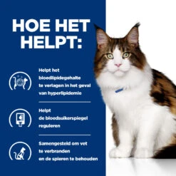 Hill's Prescription Diet W/d Multi-benefit Kattenvoer Met Kip 3kg -ROYAL Voer Winkel 52742042251 3 NL
