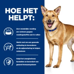 Hill's Prescription Diet I/d Digestive Care Hondenvoer Met Kip 16kg -ROYAL Voer Winkel 52742043166 3 NL