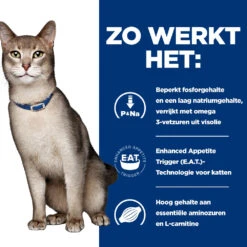 Hill's Prescription Diet K/d Kidney Care Kattenvoer Met Kip 3kg 11 Hill's Prescription Diet K/d Kidney Care Kattenvoer Met Kip 3kg -ROYAL Voer Winkel 52742043746 2 NL 1
