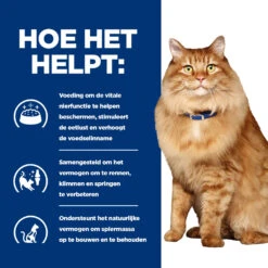 Hill's Prescription Diet K/d + Mobility Kattenvoer Met Kip 1.5kg -ROYAL Voer Winkel 52742044767 3 NL