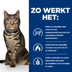 Hill's Prescription Diet Metabolic Weight Management Kattenvoer Met Kip 8kg -ROYAL Voer Winkel 52742047249 2 NL