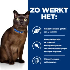 Hill's Hill’s Prescription Diet M/D – Kattenvoer Met Kip – 1,5kg -ROYAL Voer Winkel 52742048208 2 NL