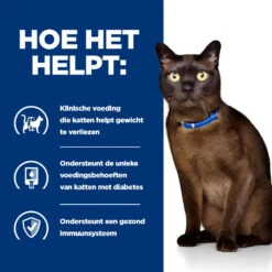 Hill's Hill’s Prescription Diet M/D – Kattenvoer Met Kip – 1,5kg -ROYAL Voer Winkel 52742048208 3 NL