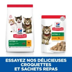 Hill's Hill’s Kitten Classic Selection Multipack Kip 12x85g -ROYAL Voer Winkel 52742211503 4 science plan chaton sachet repas pack mixte poulet poisson