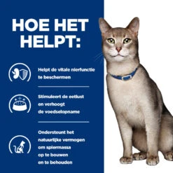 Hill's Hill’s Prescription Diet K/D – Kattenvoer Met Rund – Maaltijdzakjes 12x85g -ROYAL Voer Winkel 52742274102 3 NL