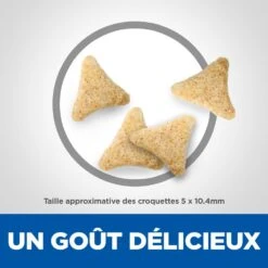 Hill's Hill’s Science Plan Mature Adult Hairball & Indoor Kip 1,5kg 10 Hill's Hill’s Science Plan Mature Adult Hairball & Indoor Kip 1,5kg -ROYAL Voer Winkel 52742761008 4 science plan chat hairball indoor chat g interieur croquettes poulet