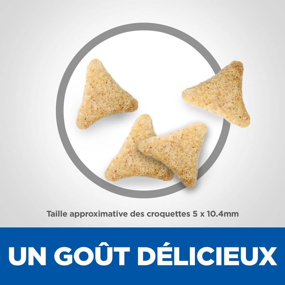 Hill's Hill’s Science Plan Mature Adult Hairball & Indoor Kip 1,5kg 6 Hill's Hill’s Science Plan Mature Adult Hairball & Indoor Kip 1,5kg - Afbeelding 4