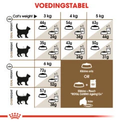 Royal Canin Ageing Sterilised 12+ Kattenvoer 2kg -ROYAL Voer Winkel 5f20f428cff199b837abe829635c8558ea16652d07551d384e43428bf3a57718