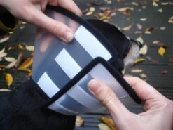 Flamingo Beschermkraag Capo 38,5cm -ROYAL Voer Winkel 6a49ce8ac076c3841c6f50f7e51b24655faca046434a3c86371644c1769f8e05