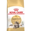 Royal Canin Maine Coon 4kg -ROYAL Voer Winkel 85acee602dcc994f5f769e8e0da15307a915f78e661fa8abee1defc3025ed010