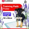 Flamingo Trainingsmat Pady L 20st Lavendel 90x60cm -ROYAL Voer Winkel 86853736e11753c6e809486d45f9c0b49295b8a7d1bdf0ad3f963102bda6cec6