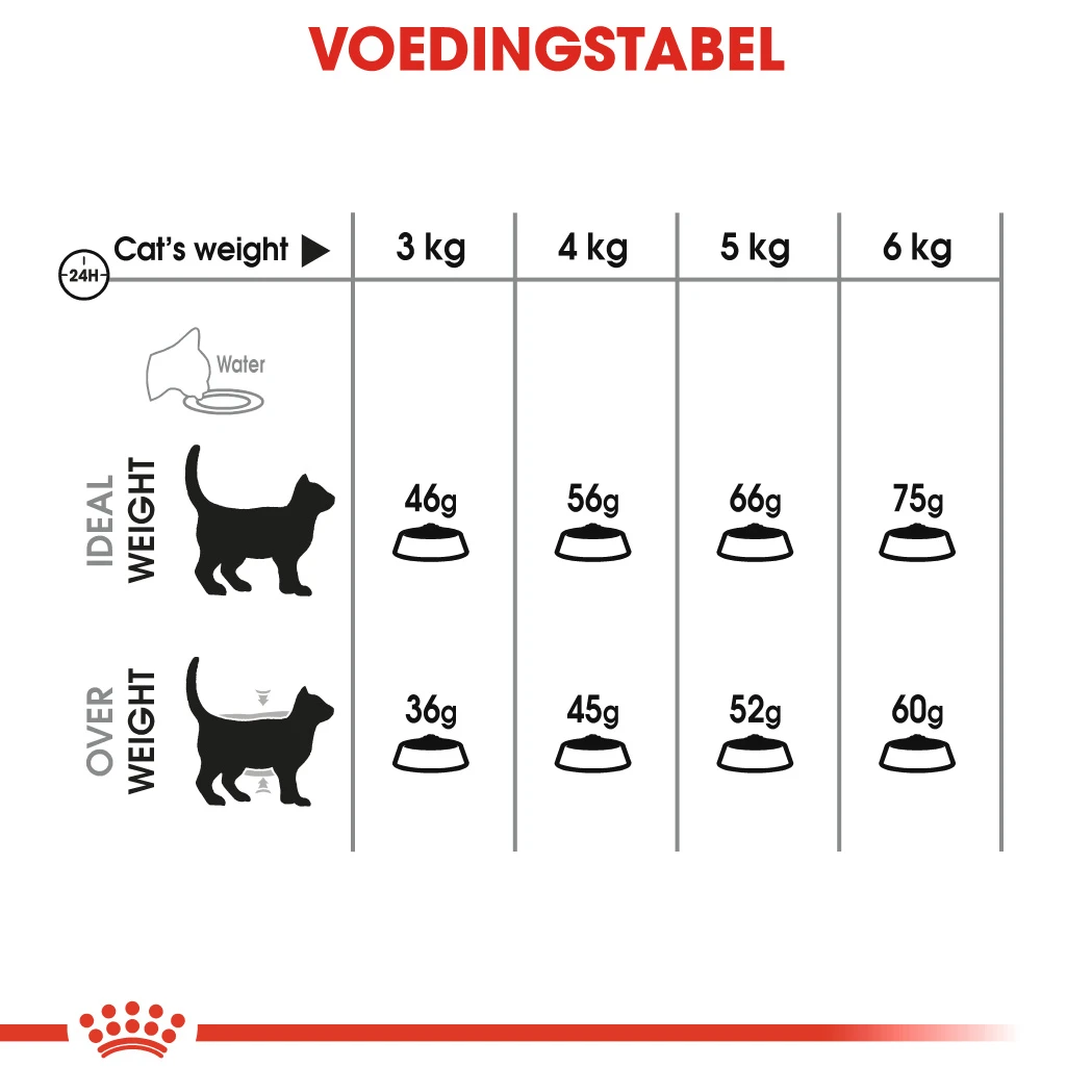 Royal Canin Dental Care Kattenvoer 1,5kg 13 Royal Canin Dental Care Kattenvoer 1,5kg - Afbeelding 11