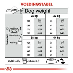 Royal Canin Dental Care Maxi Hond 9kg -ROYAL Voer Winkel 89d65b8b468daa27720f35f98d1caf2e00f02fd3a52259cbd0d6ab6ded97cf9c 1