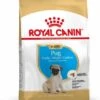 Royal Canin Pug/Mopshond Puppy - Hondenvoer - 1,5kg -ROYAL Voer Winkel 99d32243857e6cbb8677ea6a83edd8a1d42014abd1f3b77e64512c0dcfbdf543