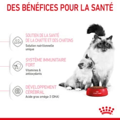 Royal Canin Mother & Babycat 2kg -ROYAL Voer Winkel RC SPT DRY Babycat 4 FR 1