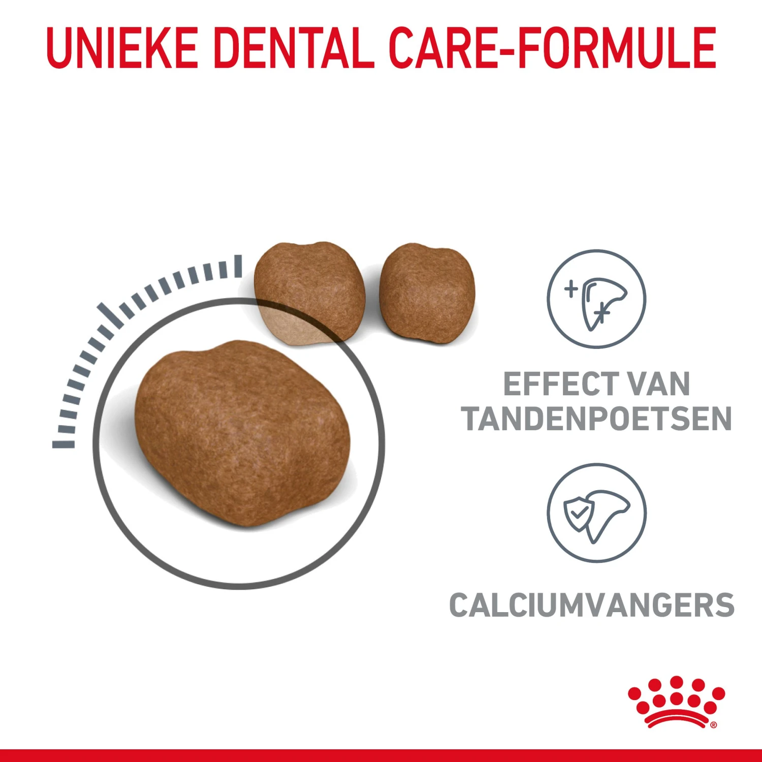 Royal Canin Dental Care Kattenvoer 1,5kg 6 Royal Canin Dental Care Kattenvoer 1,5kg - Afbeelding 4