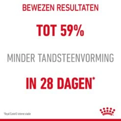 Royal Canin Dental Care Kattenvoer 1,5kg 17 Royal Canin Dental Care Kattenvoer 1,5kg -ROYAL Voer Winkel Royal Canin Dental Care Kat NL 05