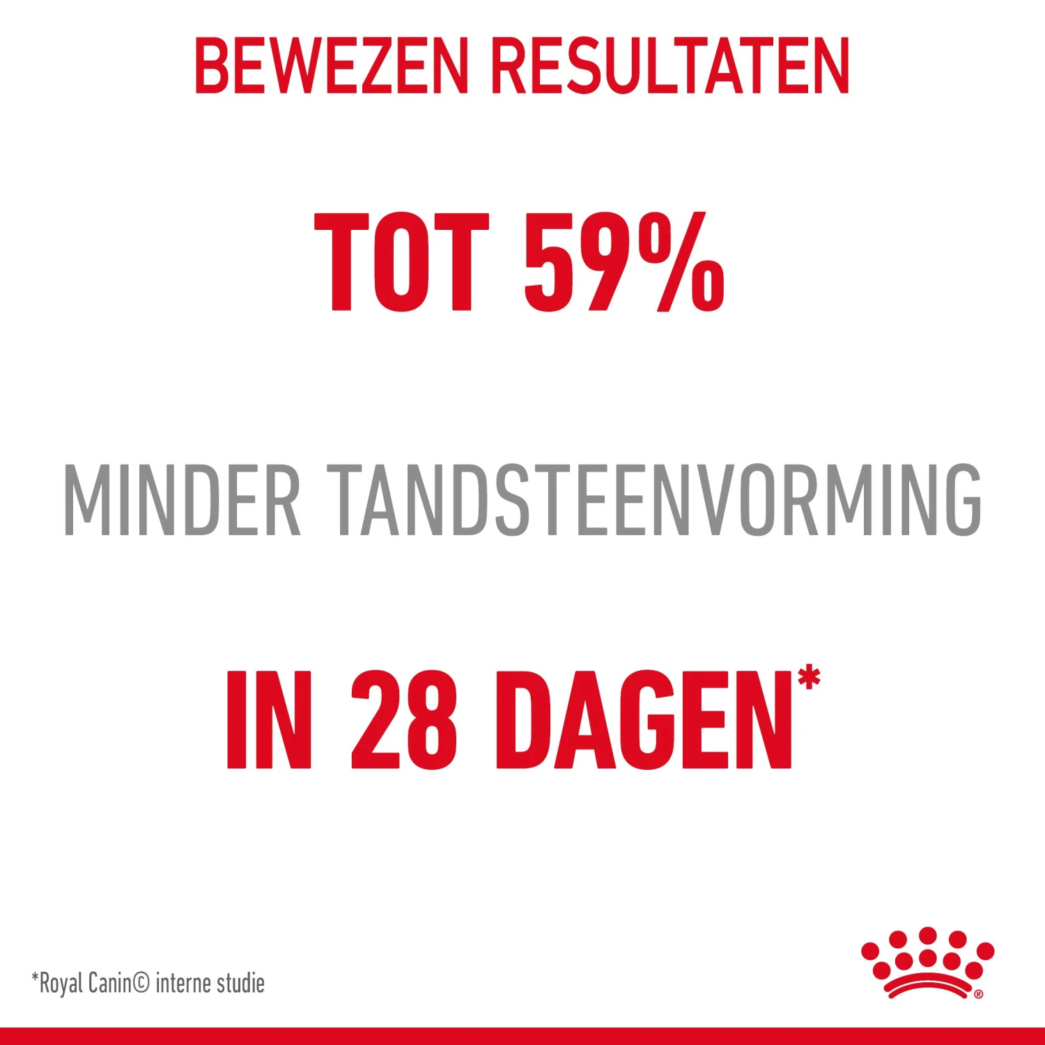 Royal Canin Dental Care Kattenvoer 1,5kg 7 Royal Canin Dental Care Kattenvoer 1,5kg - Afbeelding 5