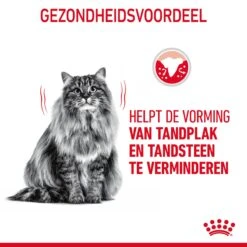 Royal Canin Dental Care Kattenvoer 1,5kg 18 Royal Canin Dental Care Kattenvoer 1,5kg -ROYAL Voer Winkel Royal Canin Dental Care Kat NL 06