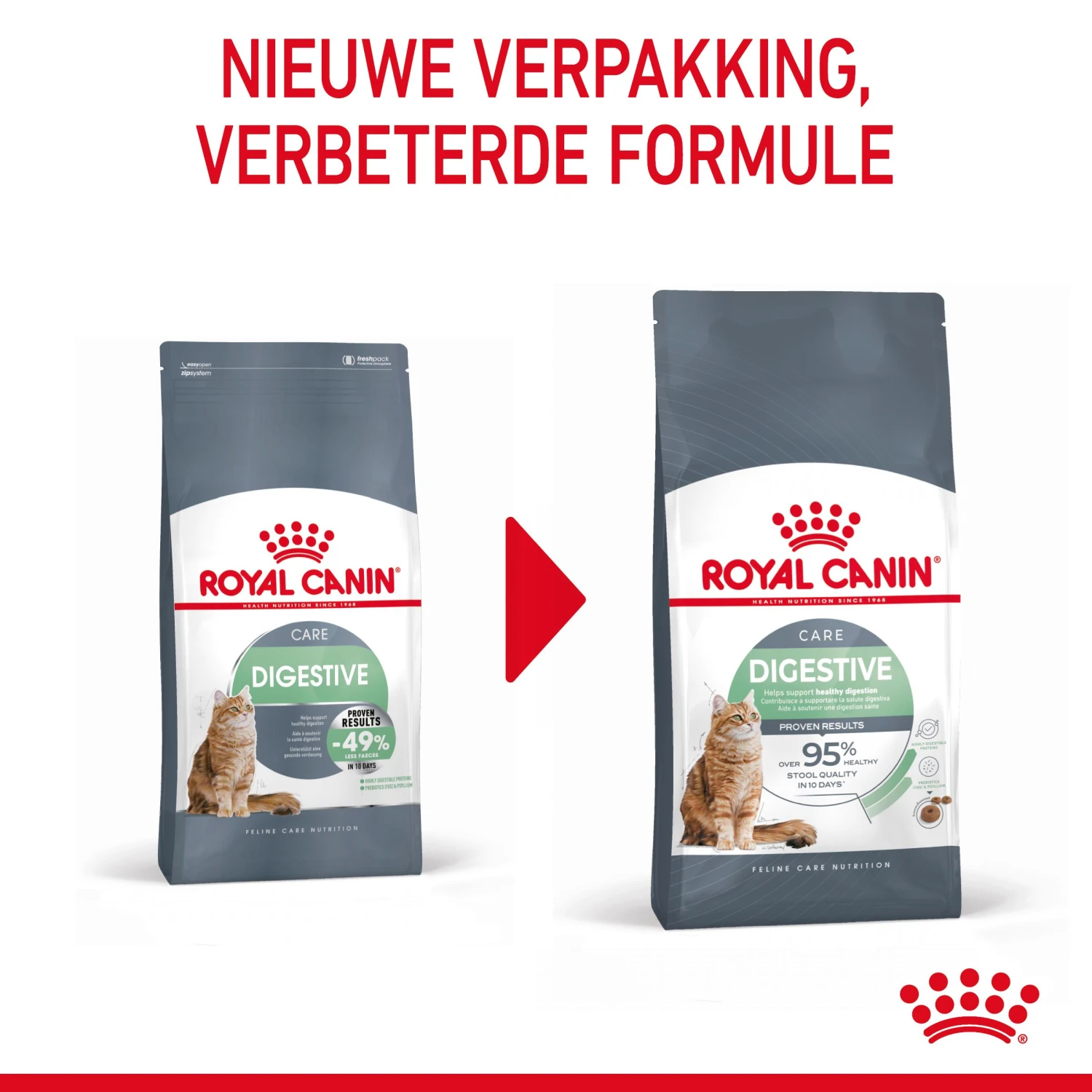Royal Canin Digestive Care Kattenvoer 2kg 5 Royal Canin Digestive Care Kattenvoer 2kg - Afbeelding 3