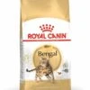 Royal Canin Bengal Adult Kattenvoer 10kg
