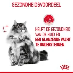 Royal Canin Hair & Skin Care Kattenvoer 10kg -ROYAL Voer Winkel Royal Canin Hair Skin Care Kat NL 07