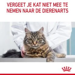 Royal Canin Hair & Skin Care Kattenvoer 10kg -ROYAL Voer Winkel Royal Canin Hair Skin Care Kat NL 11