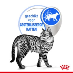 Royal Canin Indoor Sterilised 7+ In Gravy Kattenvoer 12x85g -ROYAL Voer Winkel Royal Canin Indoor Sterilised 7 Gravy Kat NL 4 1