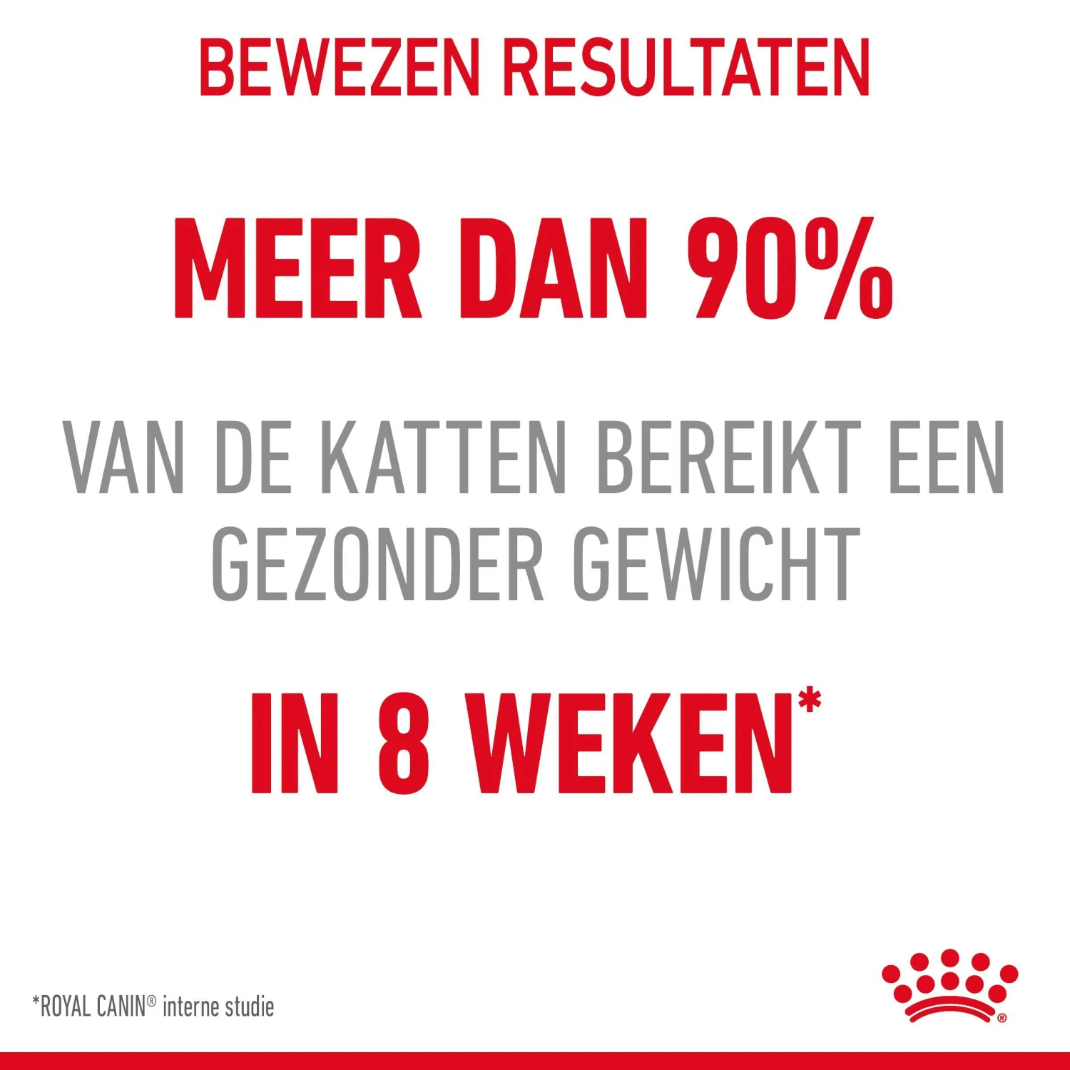 Royal Canin Light Weight Care Natvoer In Jelly Kattenvoer 12x85g 12 Royal Canin Light Weight Care Natvoer In Jelly Kattenvoer 12x85g - Afbeelding 10