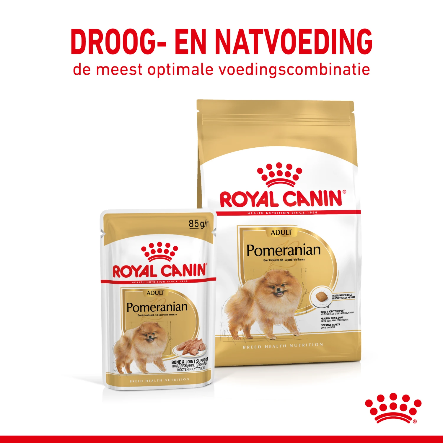 Royal Canin Pomeranian Adult Hondenvoer 12x85g 7 Royal Canin Pomeranian Adult Hondenvoer 12x85g - Afbeelding 5