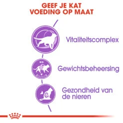 Royal Canin Sterilised 7+ Kattenvoer 10kg -ROYAL Voer Winkel Royal Canin Sterilised 7 Kat NL 4 1