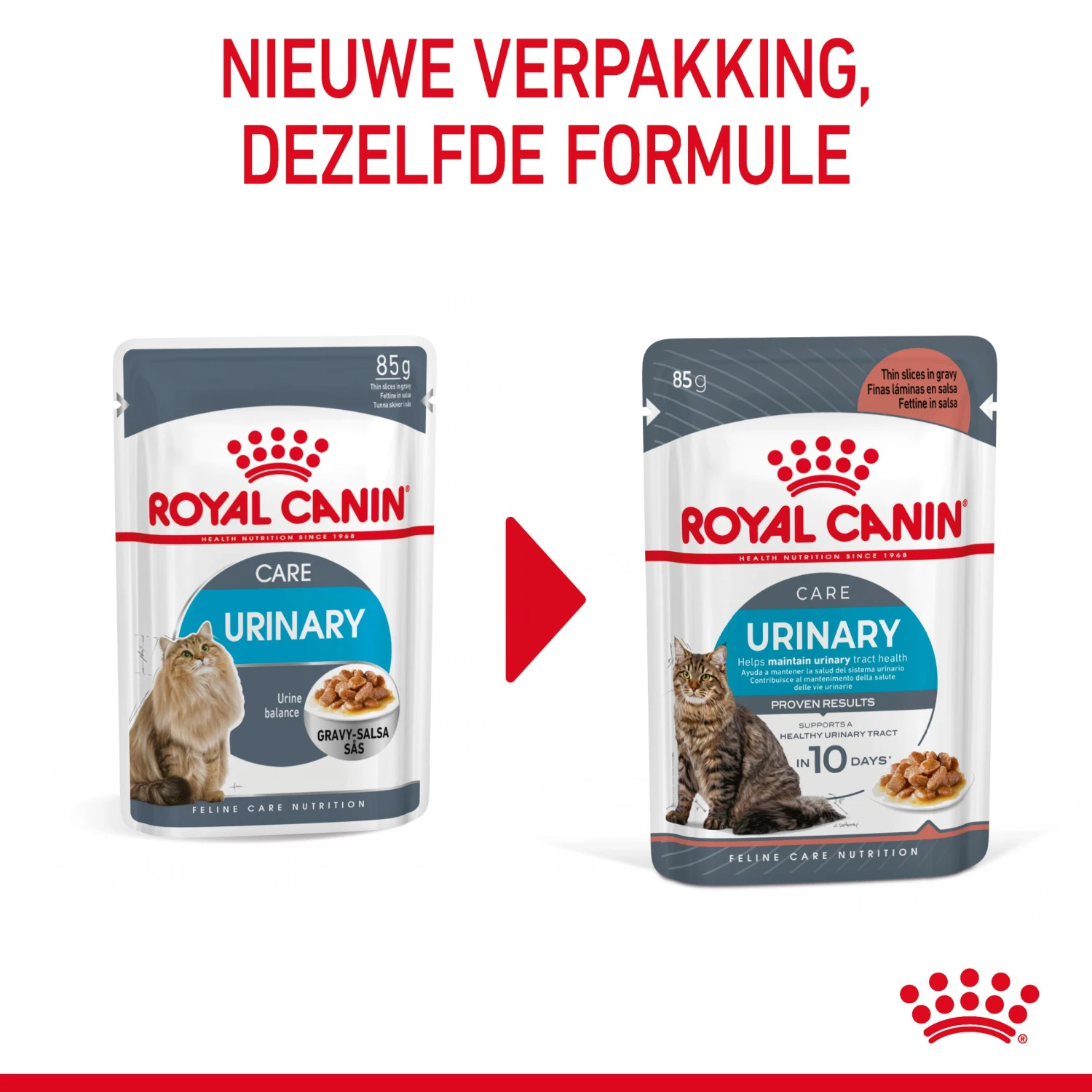 Royal Canin Urinary Care Natvoer In Gravy Kattenvoer 12x85g 6 Royal Canin Urinary Care Natvoer In Gravy Kattenvoer 12x85g - Afbeelding 4