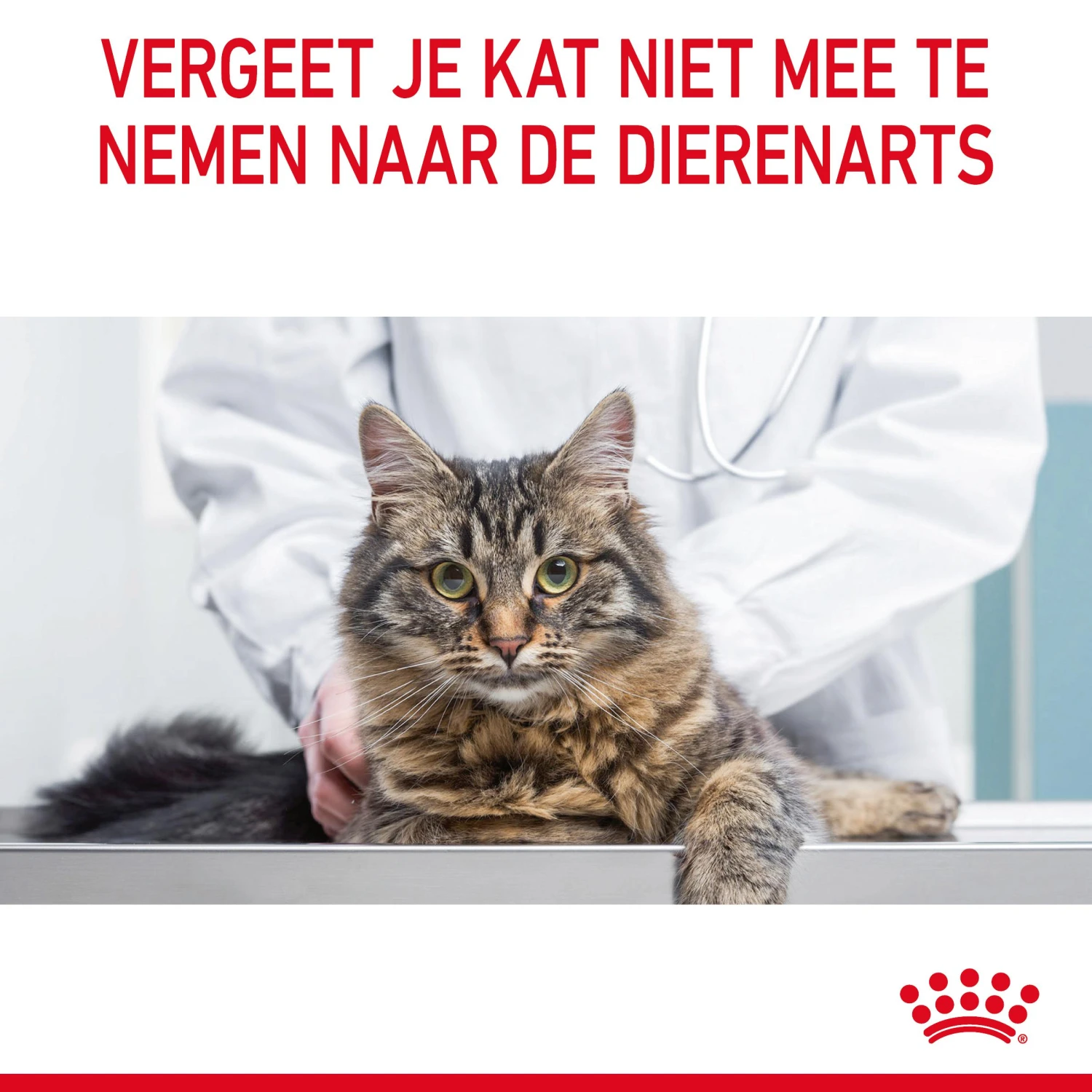 Royal Canin Urinary Care Natvoer In Gravy Kattenvoer 12x85g 14 Royal Canin Urinary Care Natvoer In Gravy Kattenvoer 12x85g - Afbeelding 12