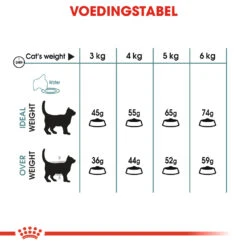 Royal Canin Hairball Care Kattenvoer 10kg -ROYAL Voer Winkel a6429b34ce9eae3431797e8fb50e7a4cc6e5ce70819985e3a6328d593f792e7f