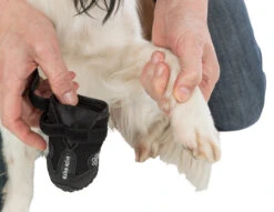 Trixie Pootbescherming Walker Active Xl 2st. -ROYAL Voer Winkel a9ed7403e7270fba9cbe0c569267f57bb704d33b769ec1a5458f95b1bf0c54e0