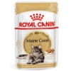 Royal Canin Maine Coon Adult Natvoer Kat 48x 85g -ROYAL Voer Winkel c0dc1d655f4be394e5a761412039a16c8fc1d9261de7484ba62044c0ef0db58c