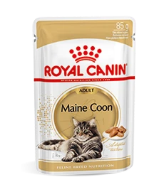 Royal Canin Maine Coon Adult Natvoer Kat 48x 85g