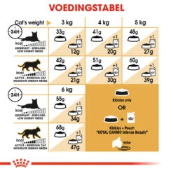 Royal Canin Siamese 38 - Kattenvoer - 4kg -ROYAL Voer Winkel c34745f78a51d5f31623226b4ca1141d392d19bbeb2838cf5a33583de24ae12b 1