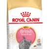 Royal Canin British Shorthair Kitten Kat 10kg -ROYAL Voer Winkel cb38a4424dd378b65a2236b5077b5517f32992d83fc734e96c0ae6a642b79c0b