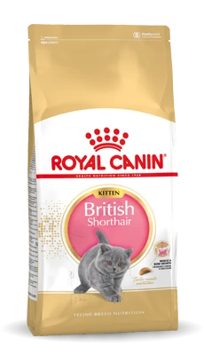 Royal Canin British Shorthair Kitten Kat 10kg