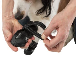 Trixie Pootbescherming Walker Active Xl 2st. -ROYAL Voer Winkel e08062450bd8a32b408258fb4c31ff7f7447657b0f4f3fa1ecca0f8550d45313