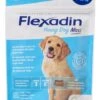 Flexadin Young Dog Maxi 60 Chews -ROYAL Voer Winkel flexadyn 20young 20dog 20maxi 20b 20Medium