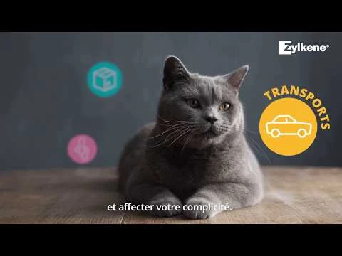 Zylkene Chew 450mg - Honden 15 Tot 60Kg - 14 Chews 4 Zylkene Chew 450mg - Honden 15 Tot 60Kg - 14 Chews - Afbeelding 2