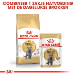Royal Canin British Shorthair 34 - Kattenvoer - 4kg -ROYAL Voer Winkel rc fbn britishsh cv eretailkit 4 nl nl 1